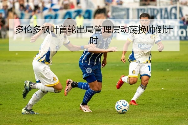 duo-lun-duo-feng-ye-shou-lun-chu-ju-guan-li-ceng-dong-dang-huan-shuai-dao-ji-shi-2-397.jpg